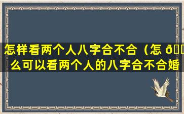 怎样看两个人八字合不合（怎 🌺 么可以看两个人的八字合不合婚）
